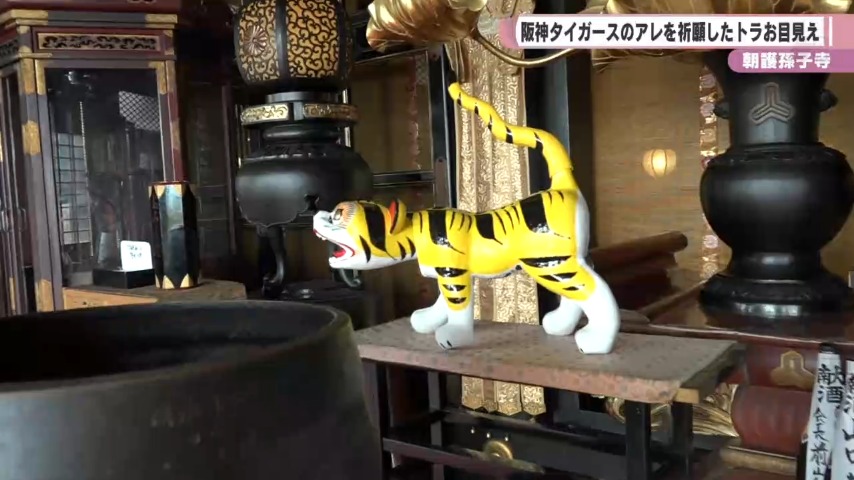 [ 祝・日本一 ] 阪神タイガース　張り子虎肩まで約45cm